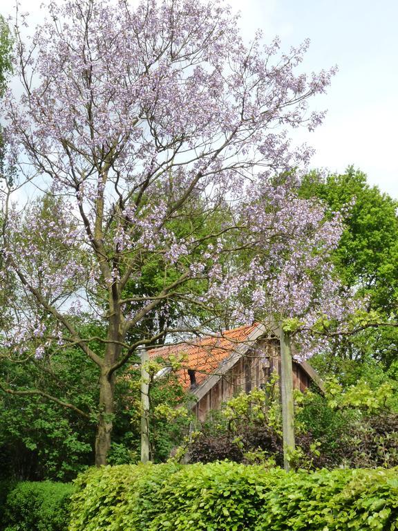 Villa Gasthuys Hongerdyck Bruchterveld Esterno foto